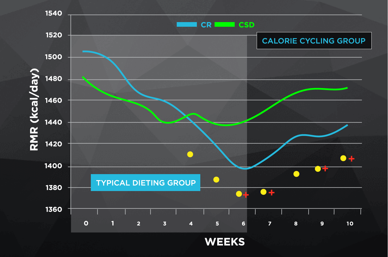 Comparison between calorie cycling and typical dieting
