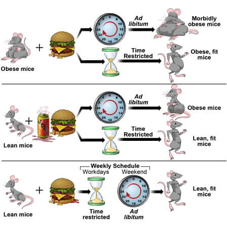 TRF research