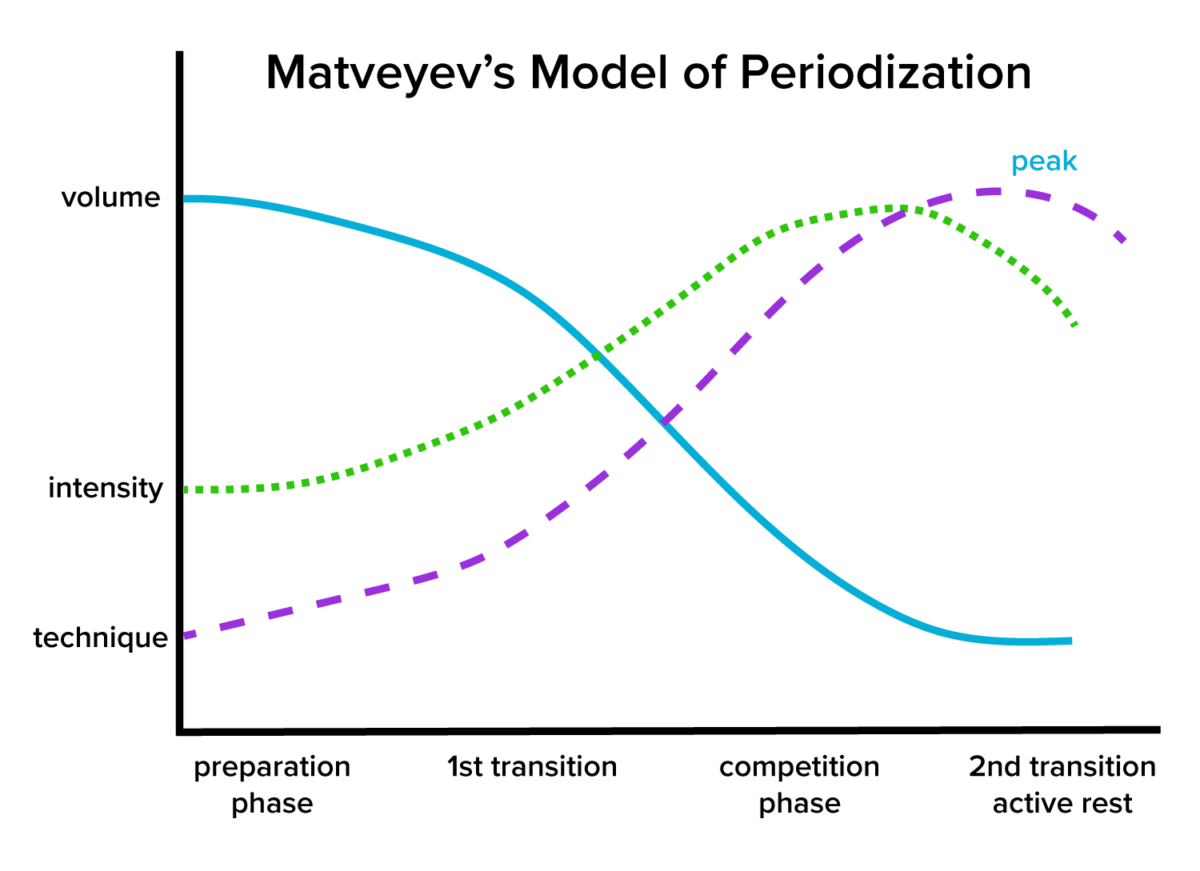 Biolayne - Matveyev's Model for Periodization
