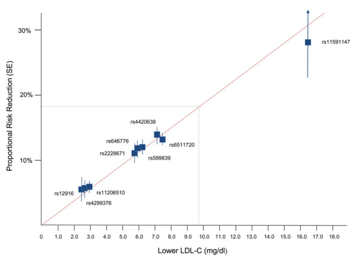 Log-Linear Effect of Each Unit Long-Term Exposure to Lower LDL-C on Risk of CHD